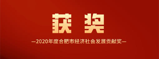 又得一獎(jiǎng)！中水三立喜獲2020年度合肥市經(jīng)濟(jì)社會(huì)發(fā)展貢獻(xiàn)獎(jiǎng)